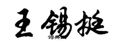 胡问遂王锡挺行书个性签名怎么写