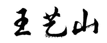 胡问遂王艺山行书个性签名怎么写