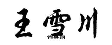 胡问遂王雪川行书个性签名怎么写