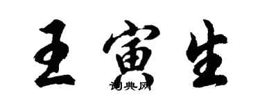 胡问遂王寅生行书个性签名怎么写