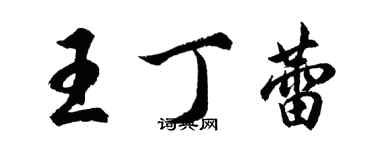 胡问遂王丁蕾行书个性签名怎么写