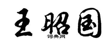 胡问遂王昭国行书个性签名怎么写