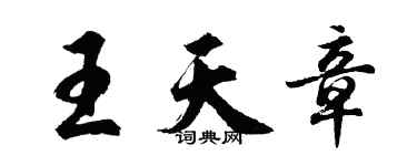 胡问遂王天章行书个性签名怎么写