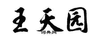 胡问遂王天园行书个性签名怎么写