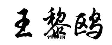 胡问遂王黎鸥行书个性签名怎么写