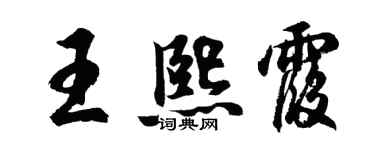 胡问遂王熙霞行书个性签名怎么写