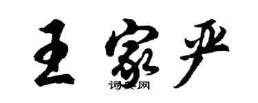 胡问遂王家严行书个性签名怎么写