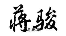 胡问遂蒋骏行书个性签名怎么写