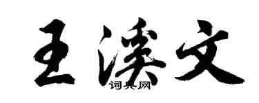 胡问遂王溪文行书个性签名怎么写