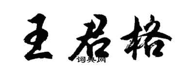 胡问遂王君格行书个性签名怎么写