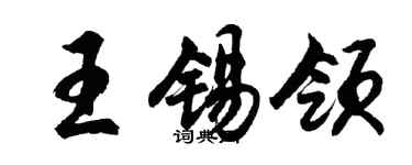 胡问遂王锡领行书个性签名怎么写