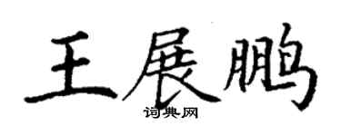 丁谦王展鹏楷书个性签名怎么写