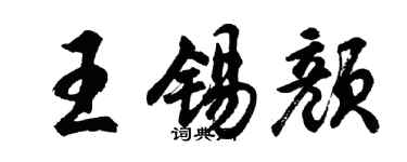 胡问遂王锡颜行书个性签名怎么写