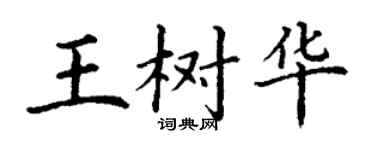 丁谦王树华楷书个性签名怎么写