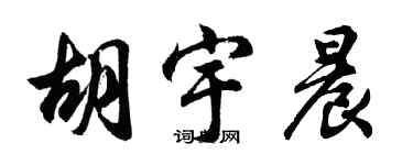 胡问遂胡宇晨行书个性签名怎么写