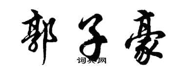 胡问遂郭子豪行书个性签名怎么写