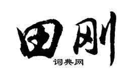 胡问遂田刚行书个性签名怎么写