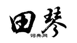 胡问遂田琴行书个性签名怎么写