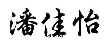 胡问遂潘佳怡行书个性签名怎么写