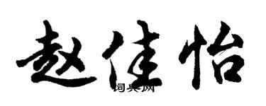 胡问遂赵佳怡行书个性签名怎么写