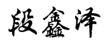 胡问遂段鑫泽行书个性签名怎么写