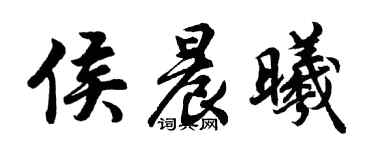 胡问遂侯晨曦行书个性签名怎么写