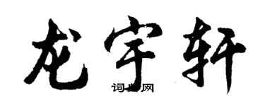 胡问遂龙宇轩行书个性签名怎么写