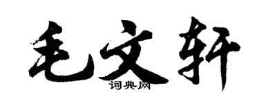 胡问遂毛文轩行书个性签名怎么写