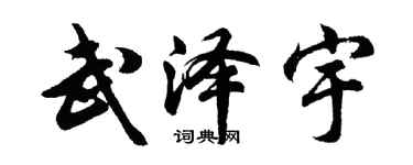 胡问遂武泽宇行书个性签名怎么写