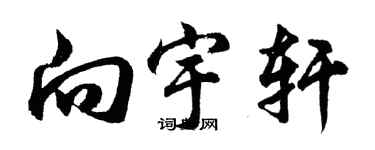 胡问遂向宇轩行书个性签名怎么写