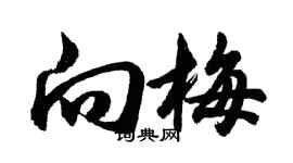 胡问遂向梅行书个性签名怎么写