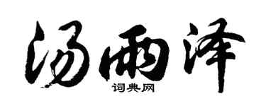 胡问遂汤雨泽行书个性签名怎么写