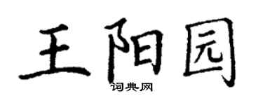 丁谦王阳园楷书个性签名怎么写