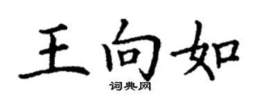 丁谦王向如楷书个性签名怎么写