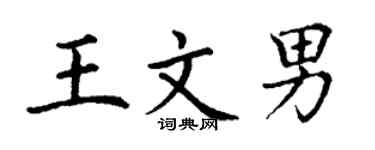 丁谦王文男楷书个性签名怎么写