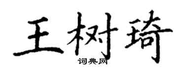 丁谦王树琦楷书个性签名怎么写