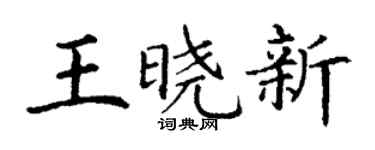 丁谦王晓新楷书个性签名怎么写