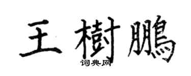 何伯昌王树鹏楷书个性签名怎么写