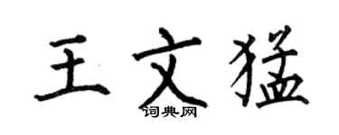 何伯昌王文猛楷书个性签名怎么写