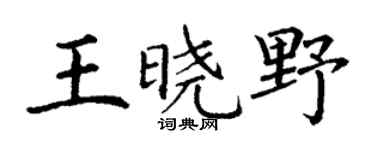 丁谦王晓野楷书个性签名怎么写