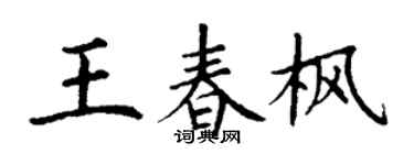 丁谦王春枫楷书个性签名怎么写