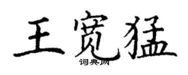 丁谦王宽猛楷书个性签名怎么写