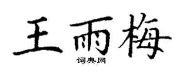 丁谦王雨梅楷书个性签名怎么写