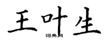 丁谦王叶生楷书个性签名怎么写