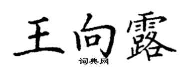 丁谦王向露楷书个性签名怎么写