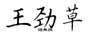 丁谦王劲草楷书个性签名怎么写