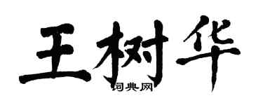 翁闿运王树华楷书个性签名怎么写