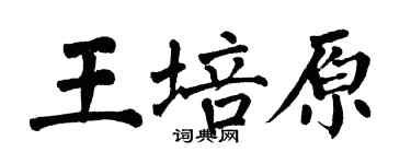 翁闿运王培原楷书个性签名怎么写