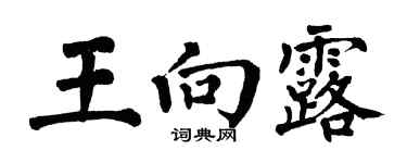 翁闿运王向露楷书个性签名怎么写