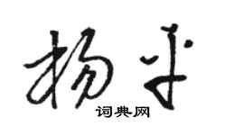 骆恒光杨平草书个性签名怎么写